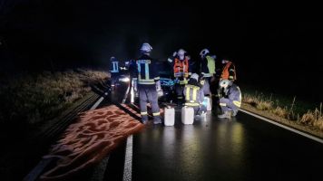 Wildunfall zwischen Hermamrode und Marzhausen