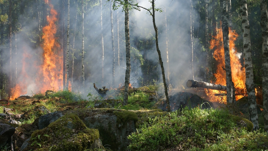 Waldbrandgefahr im Werra Meißner Kreis